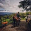 Отель Finca Agropecuaria Queveri, фото 20