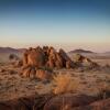 Отель Desert Quiver Camp, фото 22