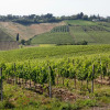 Отель Agriturismo Borgo Vigna Vecchia, фото 10