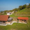 Отель Vineyard Cottage Grajska Kašča, фото 15