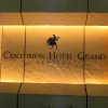 Отель Centurion Hotel Grand Akasaka, фото 26