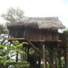 Отель Kumbuk Tree House, фото 9