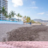 Отель Harbor Puerto Vallarta 5009, фото 17
