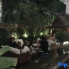 Отель Xishuangbanna Jinghongyun Jintai Resort Hotel, фото 24