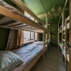 Гостиница Crazy Monkey Hostel next to the Moscow Zoo, фото 2