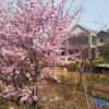 Отель Oriental Rihigh International Hot Spring Resort, фото 24