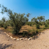 Отель Dependance di Villa Dea, фото 20