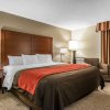 Отель Comfort Inn & Suites Denver, фото 5