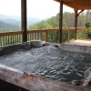 Отель Mountain Haven - Relax & enjoy AMAZING 180 Degree Views of Mt LeConte, фото 18