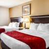 Отель Comfort Suites Jackson-Cape Girardeau, фото 24