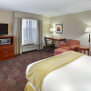 Отель Holiday Inn Express Hotel & Suites Frankenmuth, an IHG Hotel, фото 4