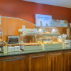 Отель Holiday Inn Express & Suites Huntersville Birkdale, фото 12