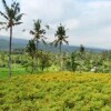 Отель The Khana Sambangan, фото 29