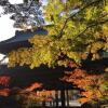 Отель Ryokan Tanakaya, фото 24