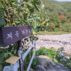 Отель Gyeongju Supsok Pension, фото 21