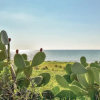 Отель Sud Bed and Breakfast, фото 17
