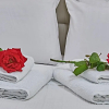 Отель Element Hotel, фото 5