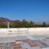 Отель Tiger Paradise - Sariska Viratnagar, фото 8
