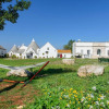 Отель B b Masseria Pozzo Tre Pile Dates Back to the Eighteenth Century, фото 10