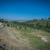 Отель Podere Cortesi - Lodge la Quercia, фото 1