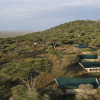 Отель Serengeti Woodlands Camp, фото 18