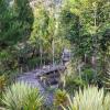 Отель Baliem Valley Resort, фото 17