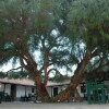 Отель Hacienda de Molinos, фото 30