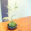 Отель Omotenashi Bayside USJ House - 59-14, фото 10