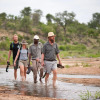Отель Makumu Private Game Lodge, фото 19