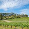 Отель McLaren Vale Getaways, фото 4