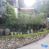 Отель Hangzhou Nongfu Lu Homestay, фото 13