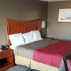 Отель Rodeway Inn Near Hall of Fame, фото 5