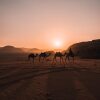 Отель Desert Star Camp Wadi Rum, фото 14