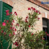 Отель Rooms Split Pezelj, фото 24