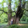 Отель Gasthof Zur Traube, фото 12