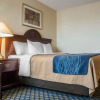 Отель Comfort Inn and Suites Ingersoll, фото 7