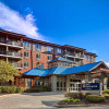 Отель Hilton Garden Inn Gatlinburg, фото 1