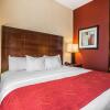 Отель Comfort Suites Troy-I75, фото 5