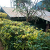 Отель Bwindi View Lodge & Camp Site, фото 4