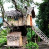 Отель Volcano Tree Venture Bungalows, фото 2