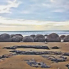 Отель Moeraki Boulders Holiday Park & Motel, фото 9