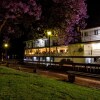 Отель Murray River Queen, фото 13