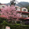 Отель Shang Feng Shan Su Homestay, фото 7
