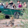 Отель Leopard Hills Private Game Reserve, фото 13