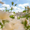 Отель Suite Greve in Chianti - Suite con Terrazza 101, фото 1