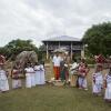 Отель The Elephant Corridor Hotel, фото 8