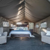 Отель West Coast Luxury Tents- Glamping, фото 20