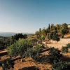 Отель Terra Cassa Private Villa, фото 25
