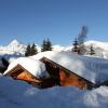 Отель Aux Chalets Des Alpes - Chalets 10, фото 16