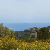 Отель Aphrodite Hills Holiday Residences Superior Villas 3 Bedroom Superior Villa - 0093, фото 14